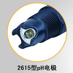 雙液接pH復(fù)合電極
