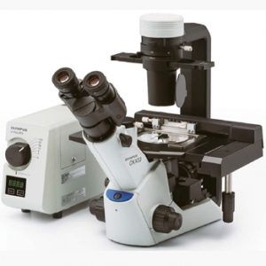 奧林巴斯倒置生物顯微鏡CKX53 Olympus實驗室常規(guī)倒置顯微鏡新品