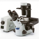 奧林巴斯倒置生物顯微鏡CKX53 Olympus實驗室常規(guī)倒置顯微鏡新品